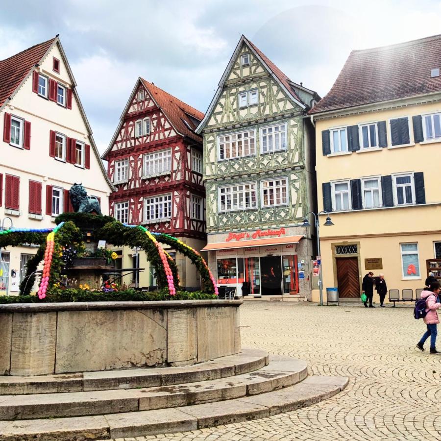 Im Herzen Der Altstadt Vaihingen an der Enz Ngoại thất bức ảnh